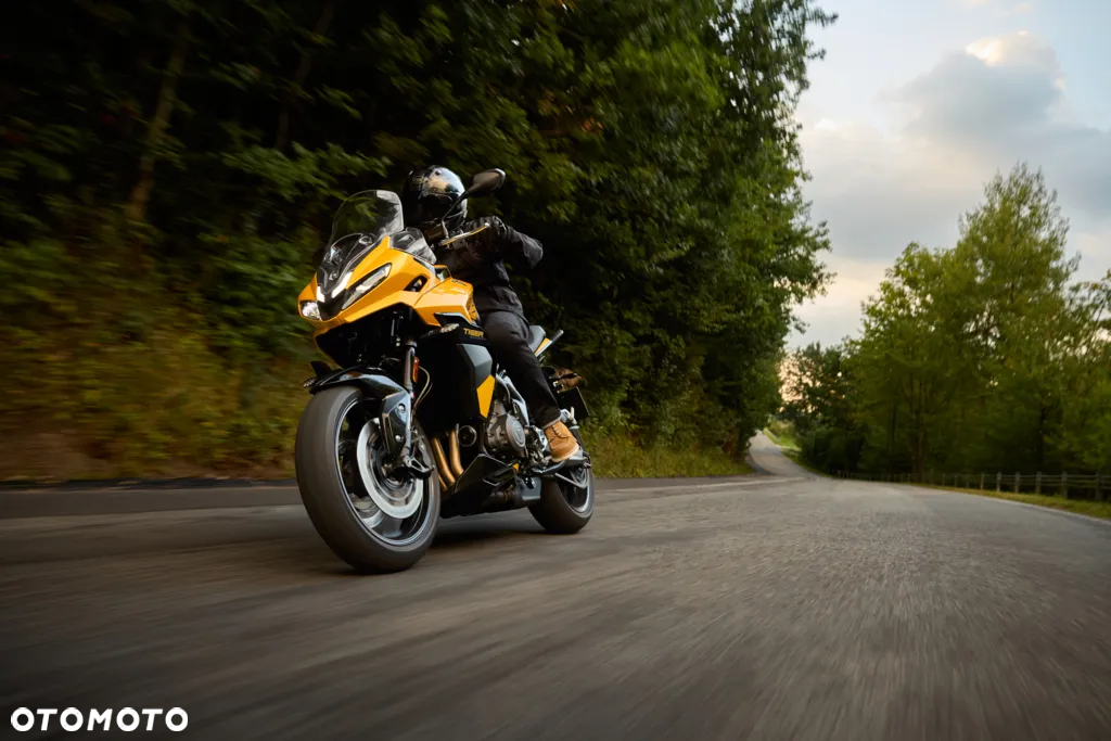Triumph Tiger - 3