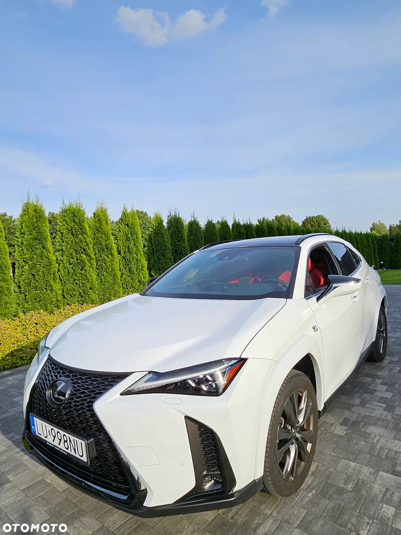Lexus UX 250h GPF F Sport 2WD - 4