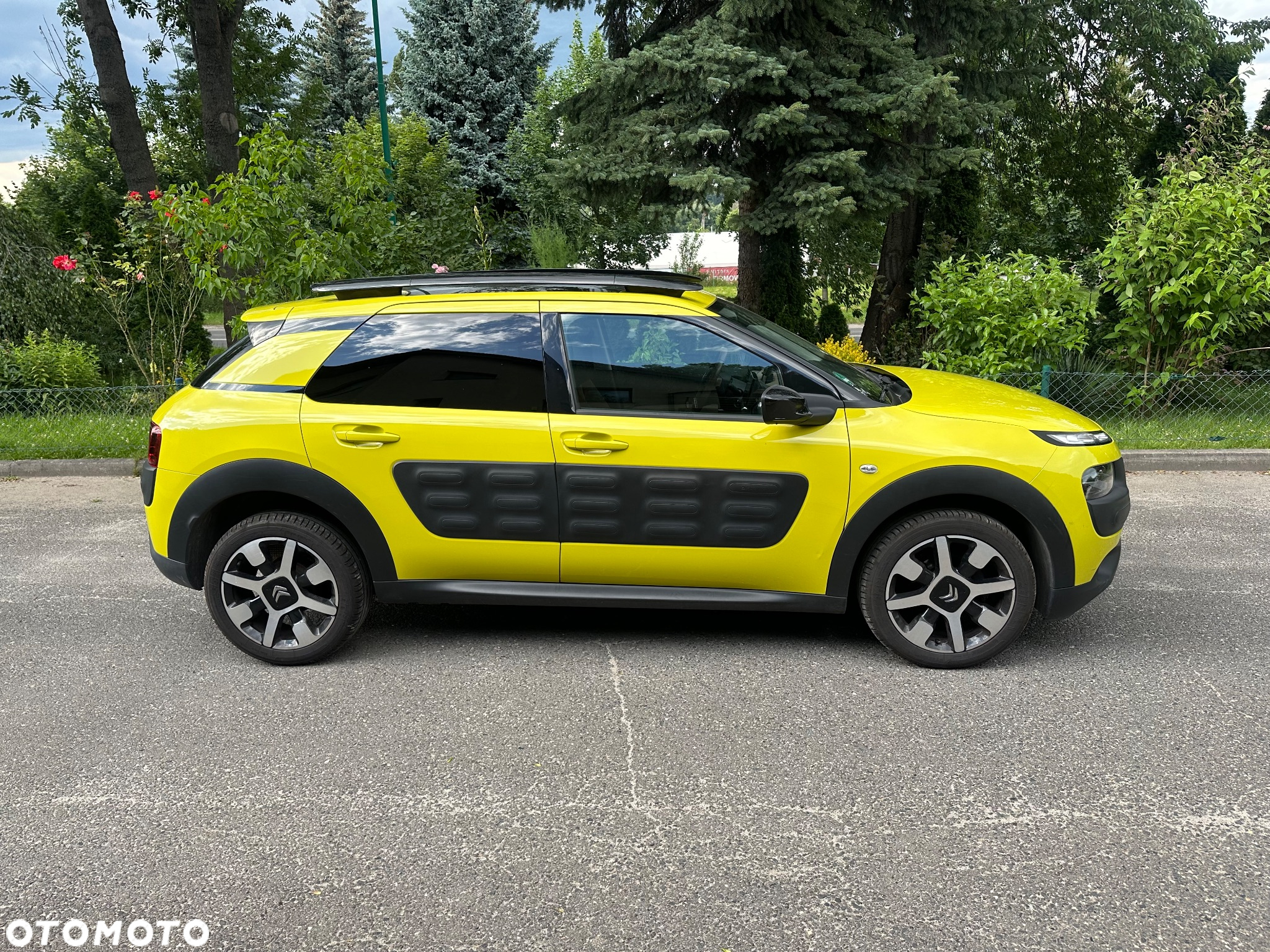 Citroën C4 Cactus 1.2 PureTech Shine Edition S&S - 3
