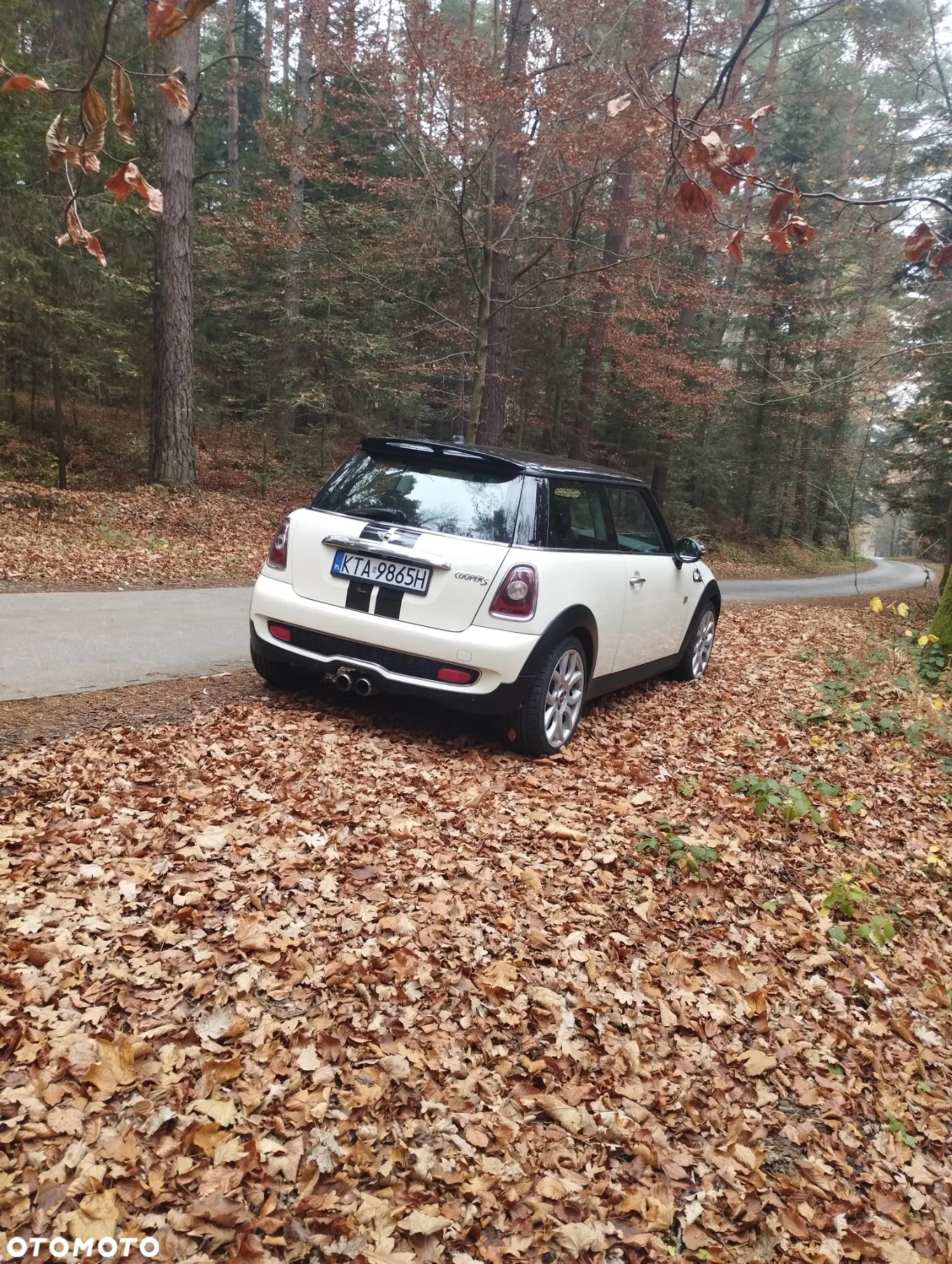 MINI Cooper S Standard - 17