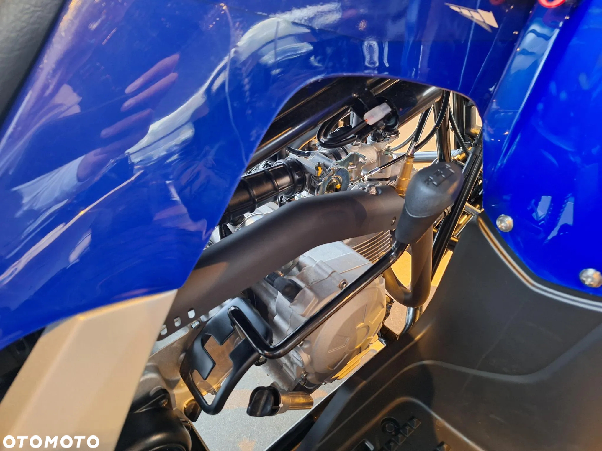 Yamaha Raptor - 4
