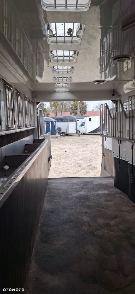 Scania Koniowóz 7-koni + living - 21