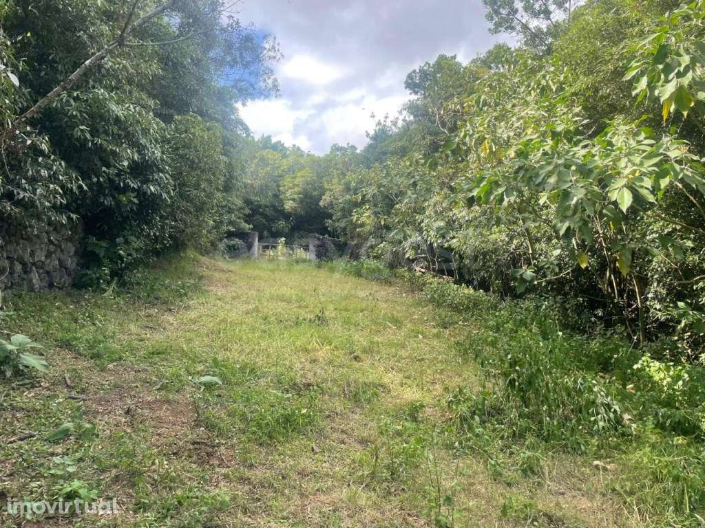 Terreno Rústico com 484 m² - Porto Martins, Terceira - Grande imagem: 5/20