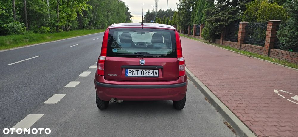 Fiat Panda 1.1 Active Eco - 5