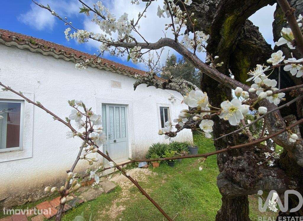 Casa de Campo T3 em Carvalhal de 91 m2 - Grande imagem: 5/19