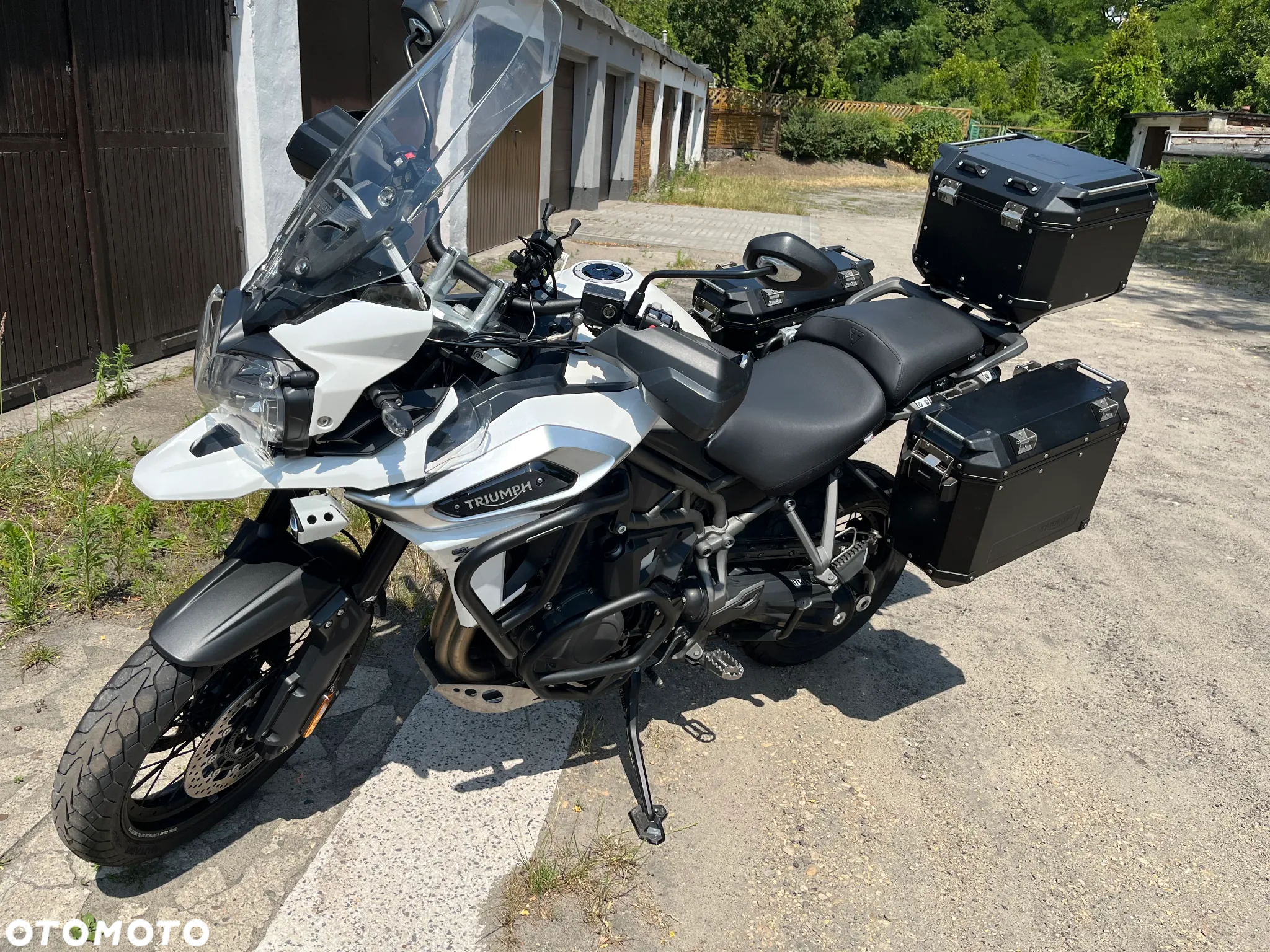 Triumph Tiger - 3