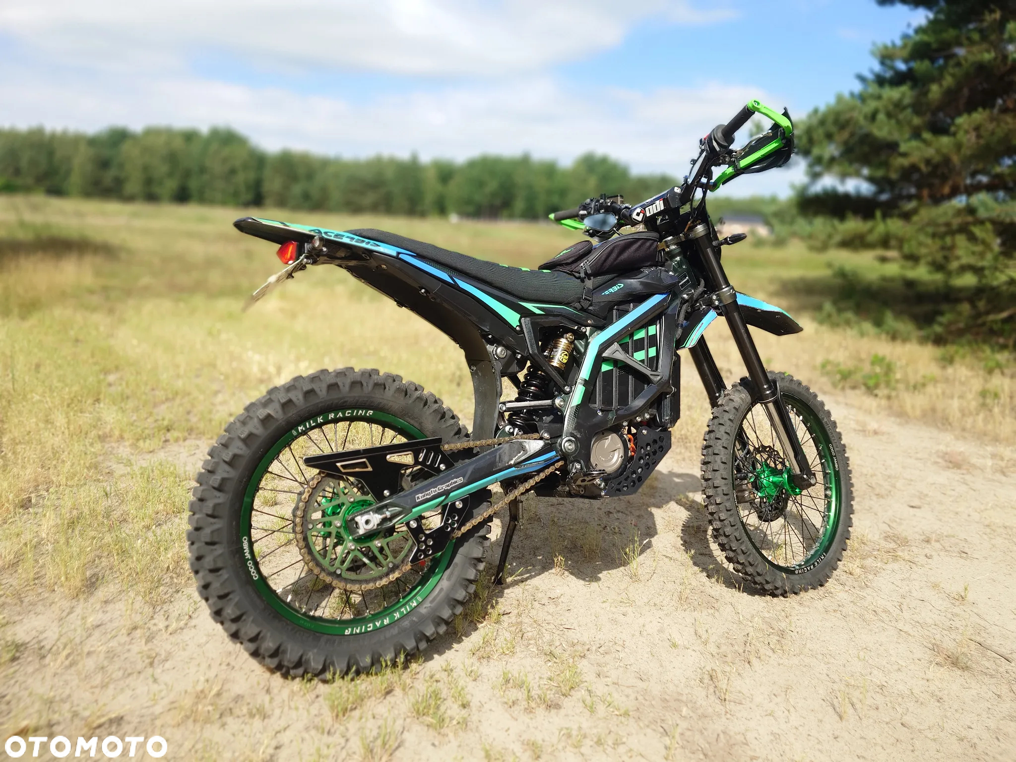 Surron Ultra-Bee