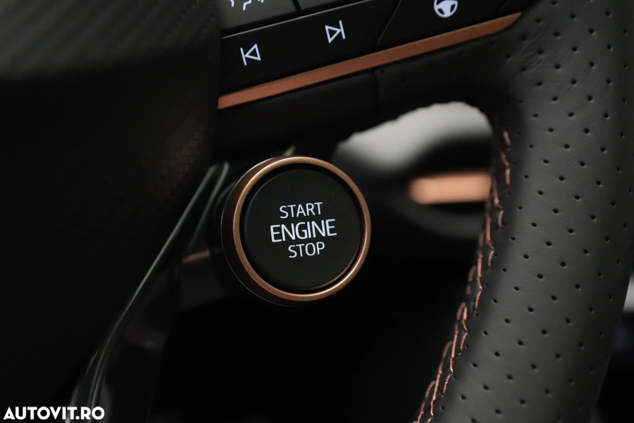 Cupra Terramar - 24