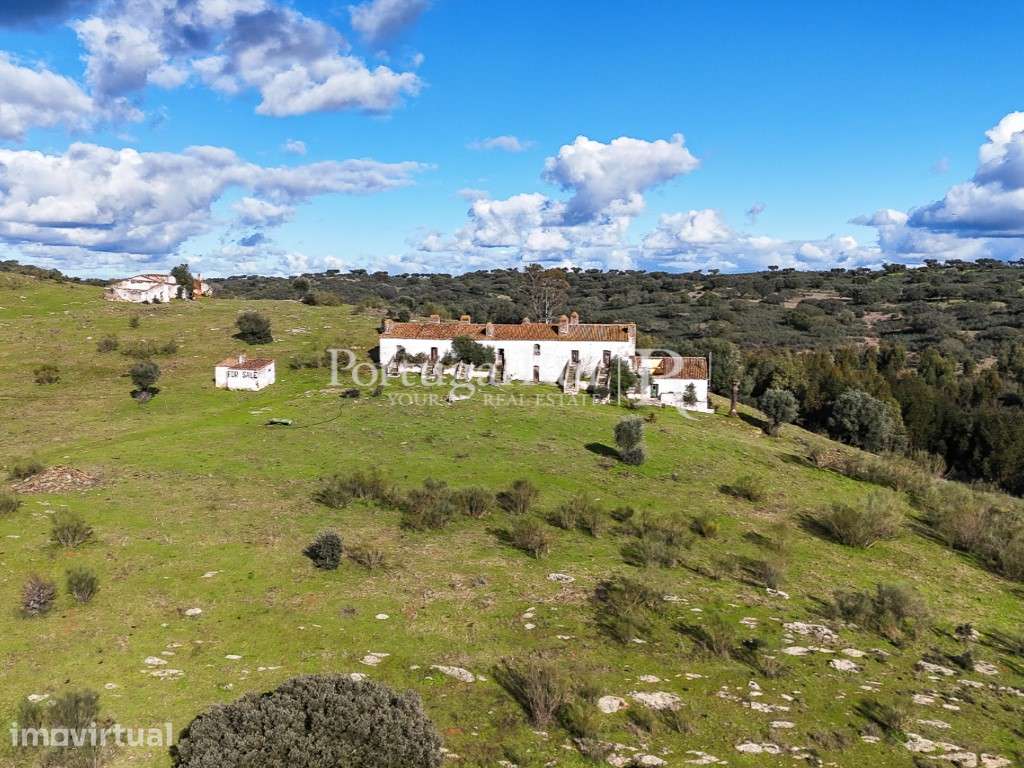 Quinta de 11 Hectares com aptidão para Hotel Rural