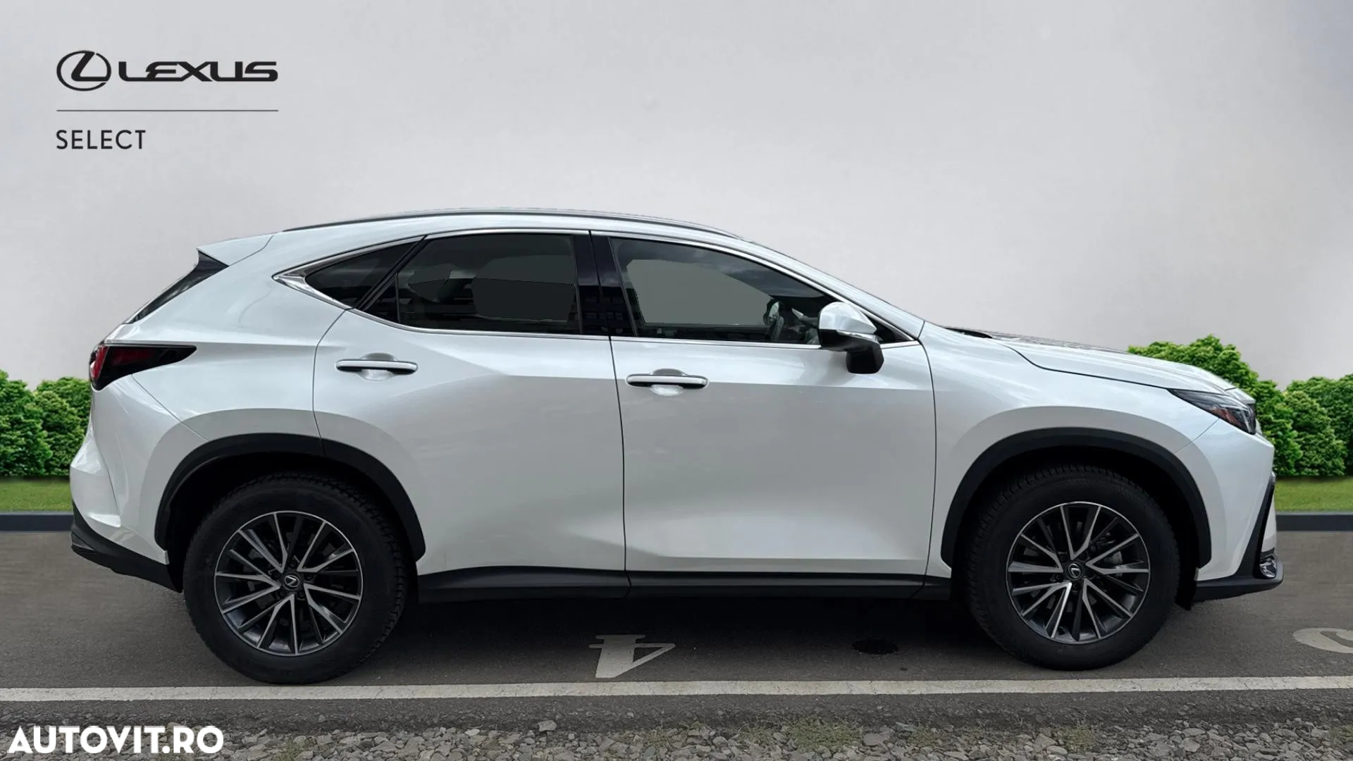 Lexus Seria NX 350h AWD CVT HEV Business - 17