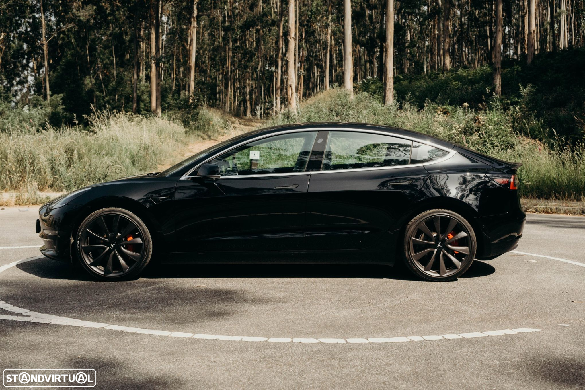 Tesla Model 3 Performance Dual Motor AWD - 8