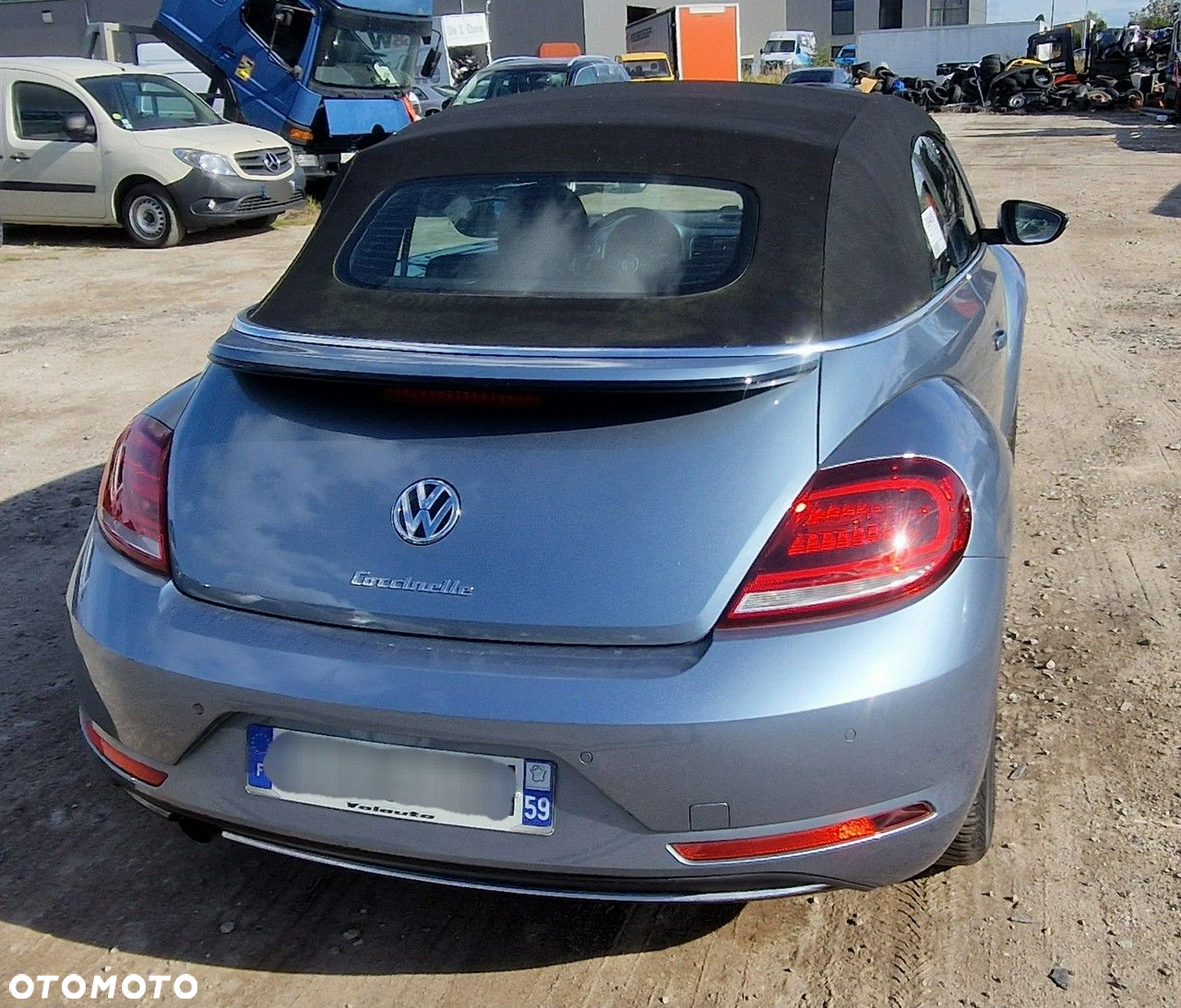 Volkswagen Beetle - 33