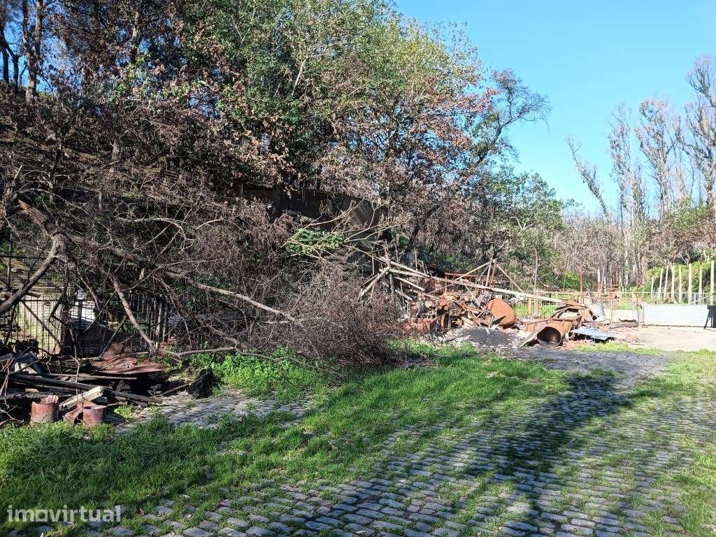 Terreno / Quinta para construção de moradia - Angeja - Grande imagem: 2/21