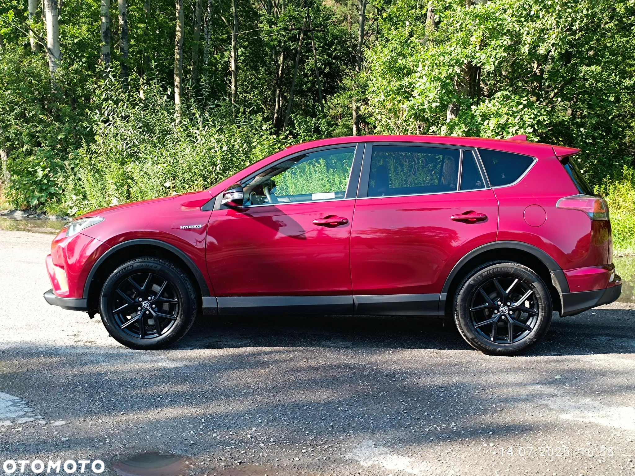 Toyota RAV4 Hybrid Premium 4x4 - 5