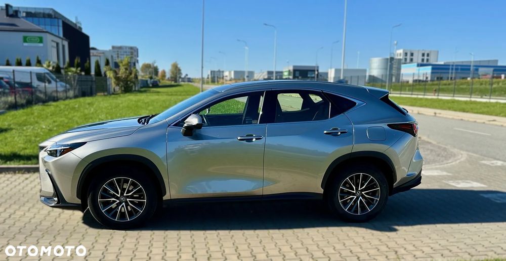 Lexus NX - 17