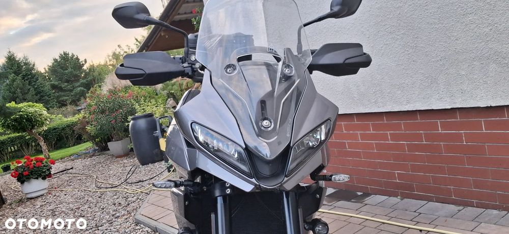 Triumph Tiger - 29