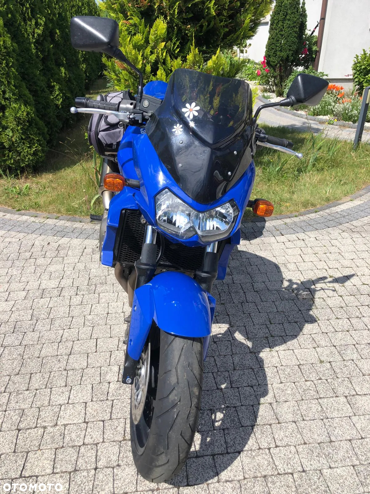 Kawasaki Z - 6