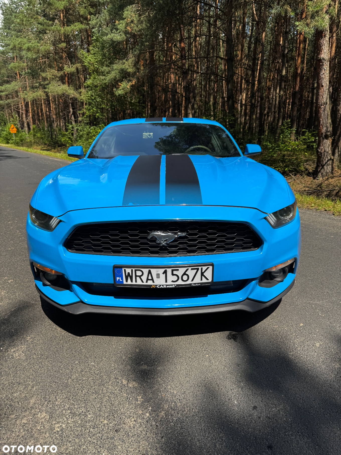 Ford Mustang - 6