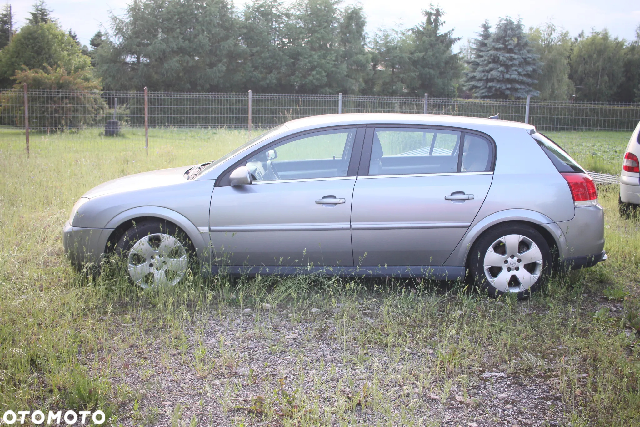 Opel Signum - 3
