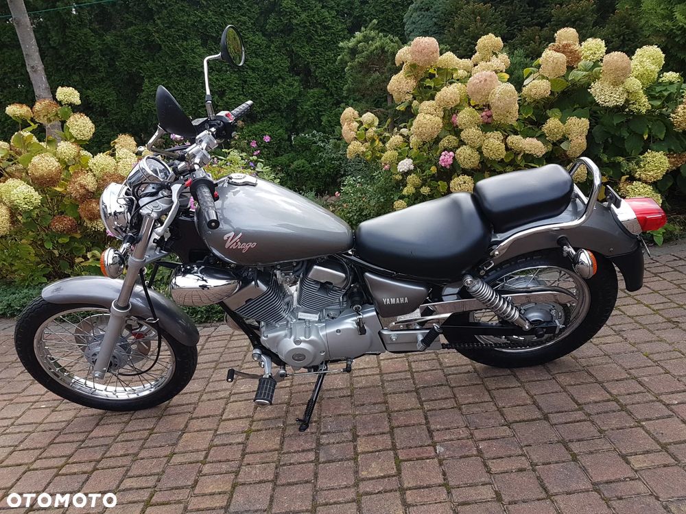 Yamaha Virago - 7