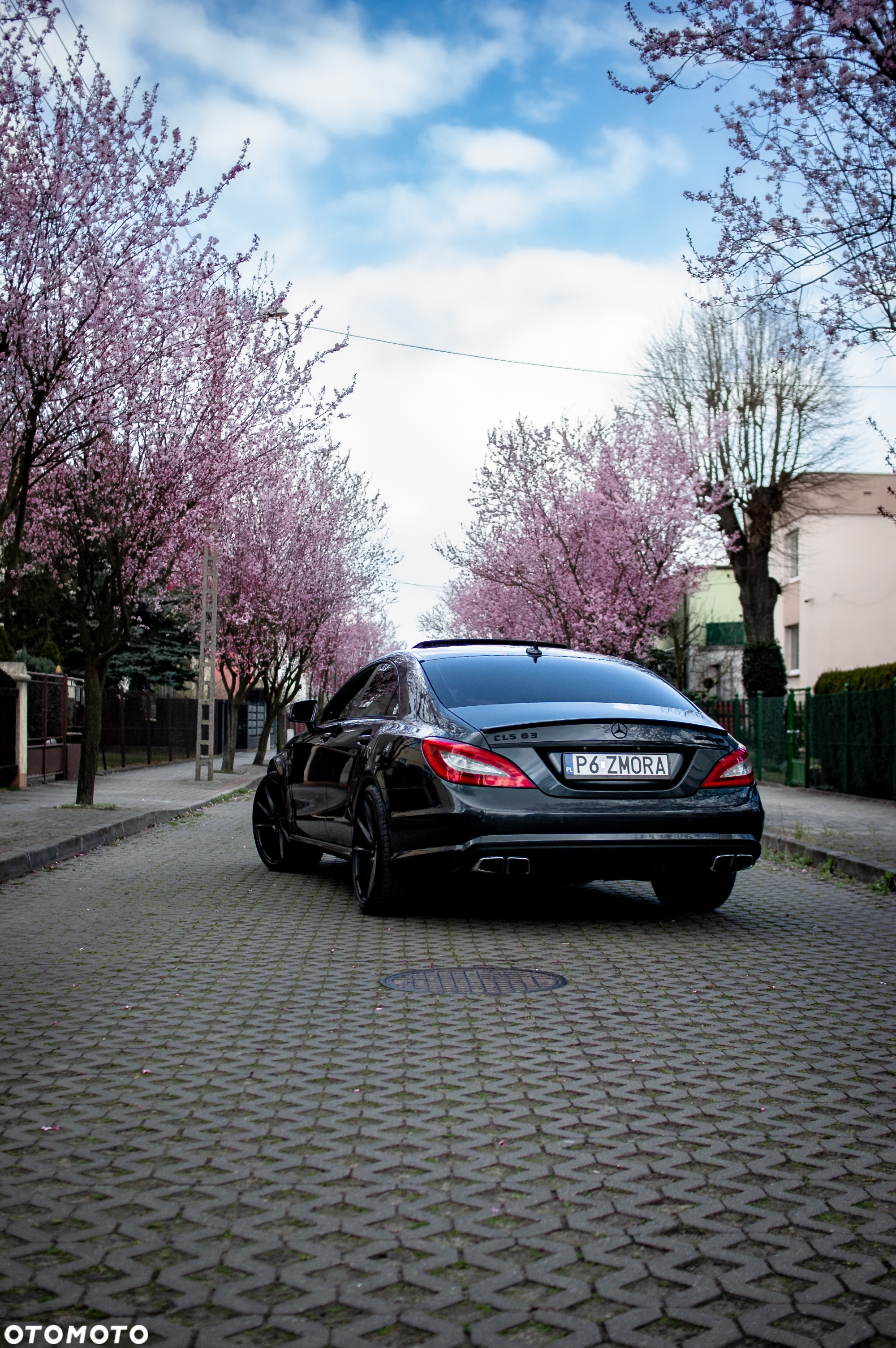 Mercedes-Benz CLS 63 AMG AMG SPEEDSHIFT MCT Performance Plus - 2