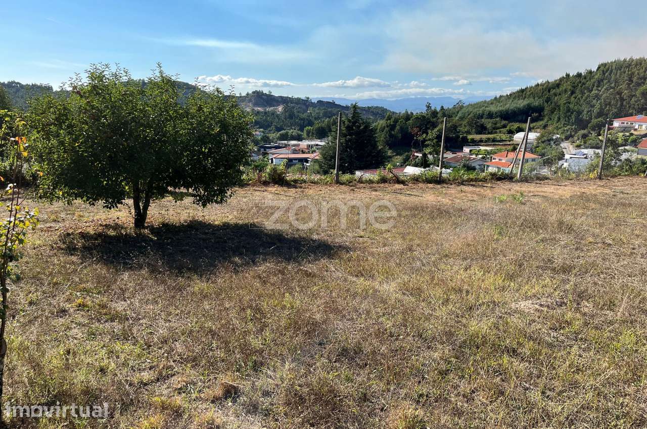 TERRENO 1.600m2 ESTE S. MAMEDE - Grande imagem: 5/25