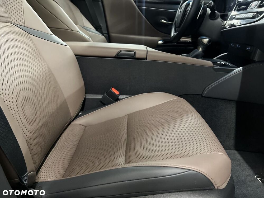 Lexus ES 300h F Sport Design - 16