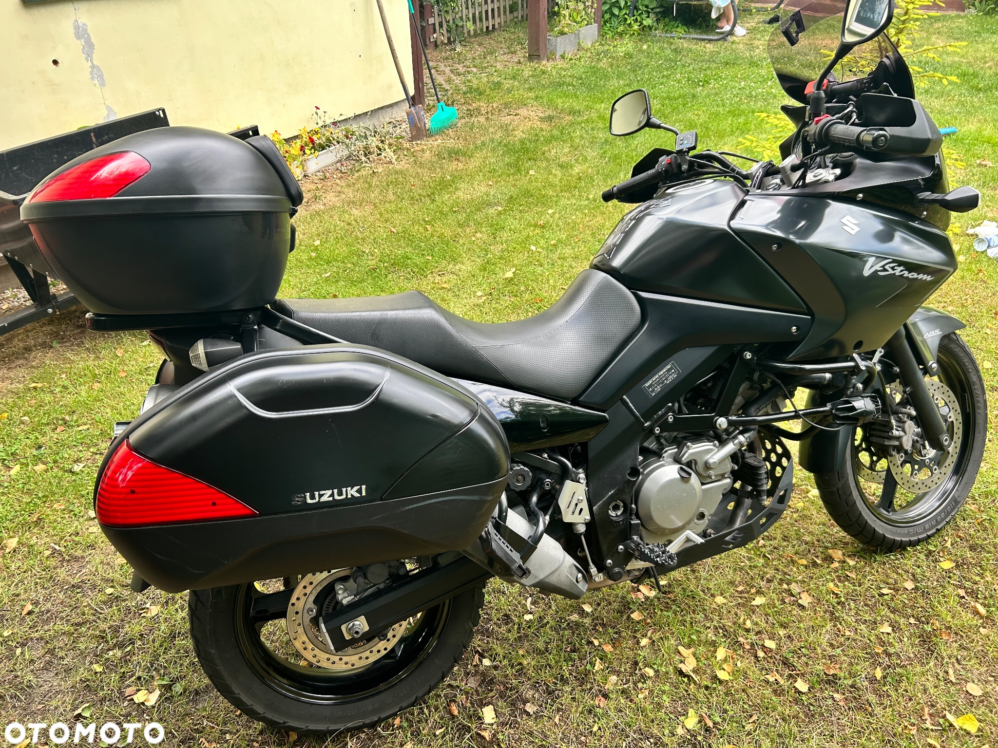 Suzuki DL - 10