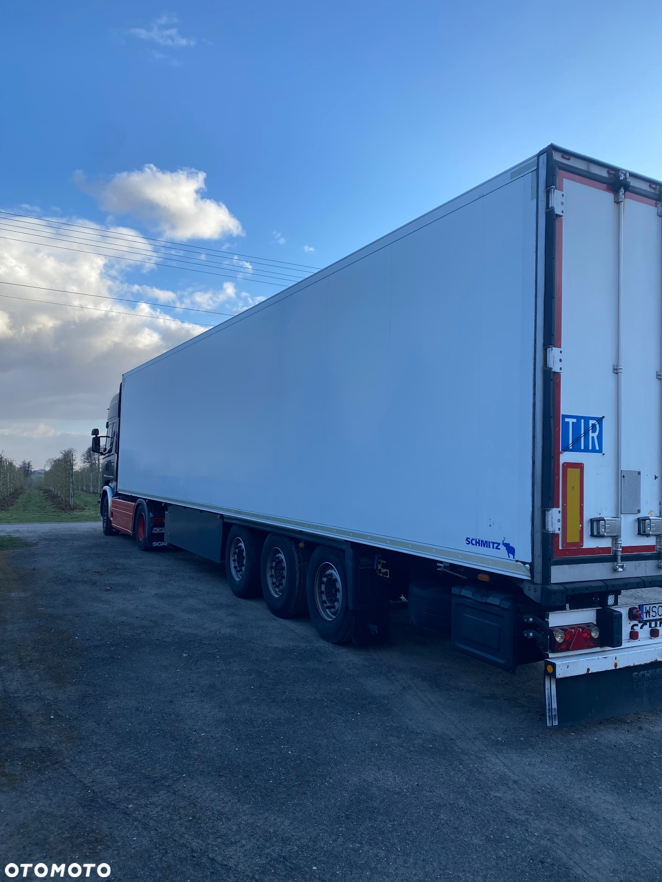 Schmitz Cargobull SKO - 4