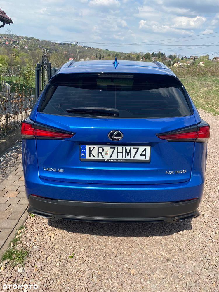 Lexus NX 300 Business Edition AWD - 7