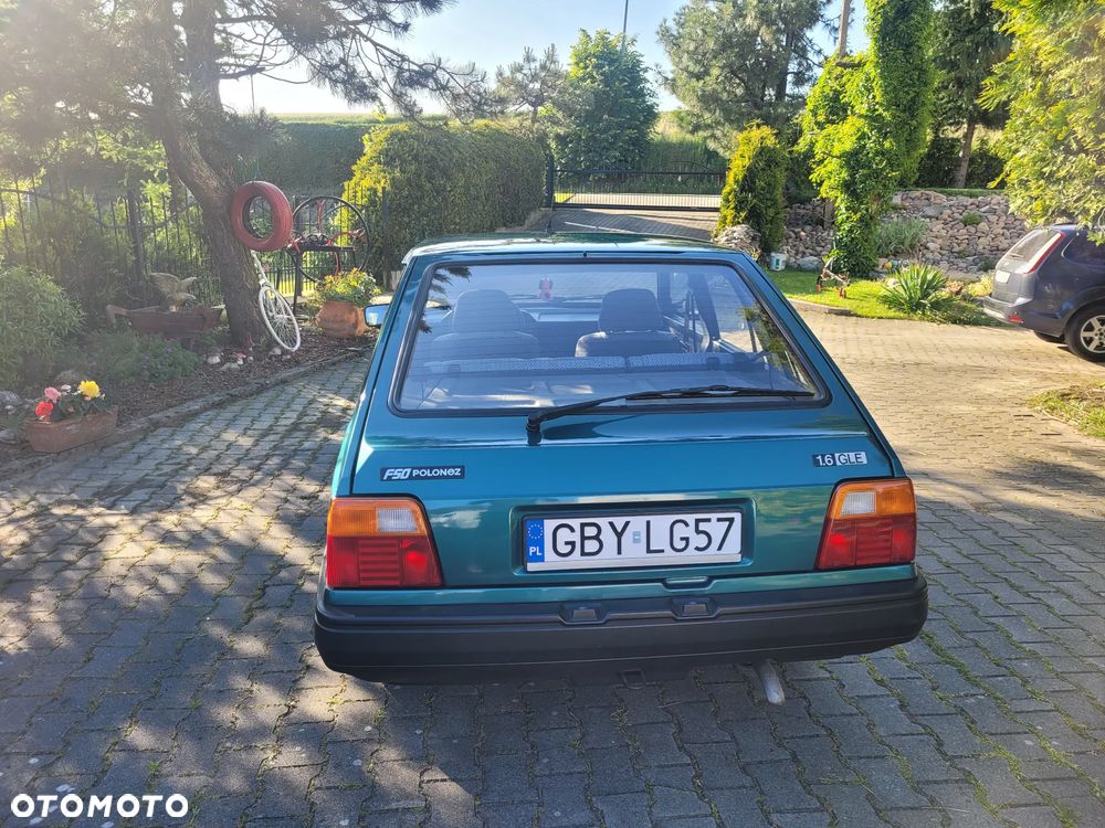 Polonez Caro - 13