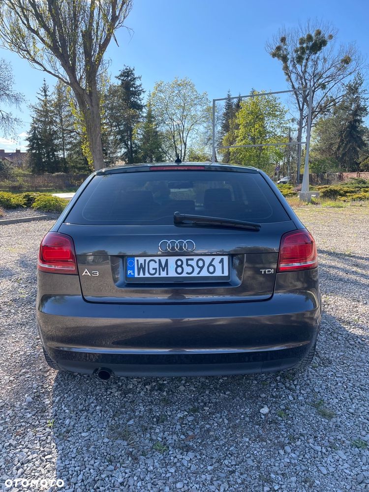 Audi A3 3-drzwiowe 2.0 TDI DPF S line Sportpaket - 6