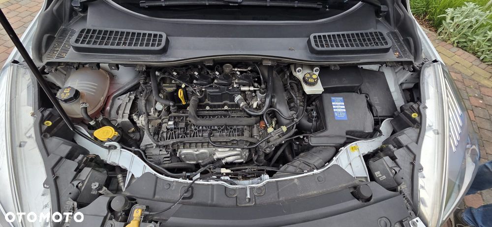 Ford Kuga 1.5 EcoBoost FWD Trend ASS MMT6 - 22
