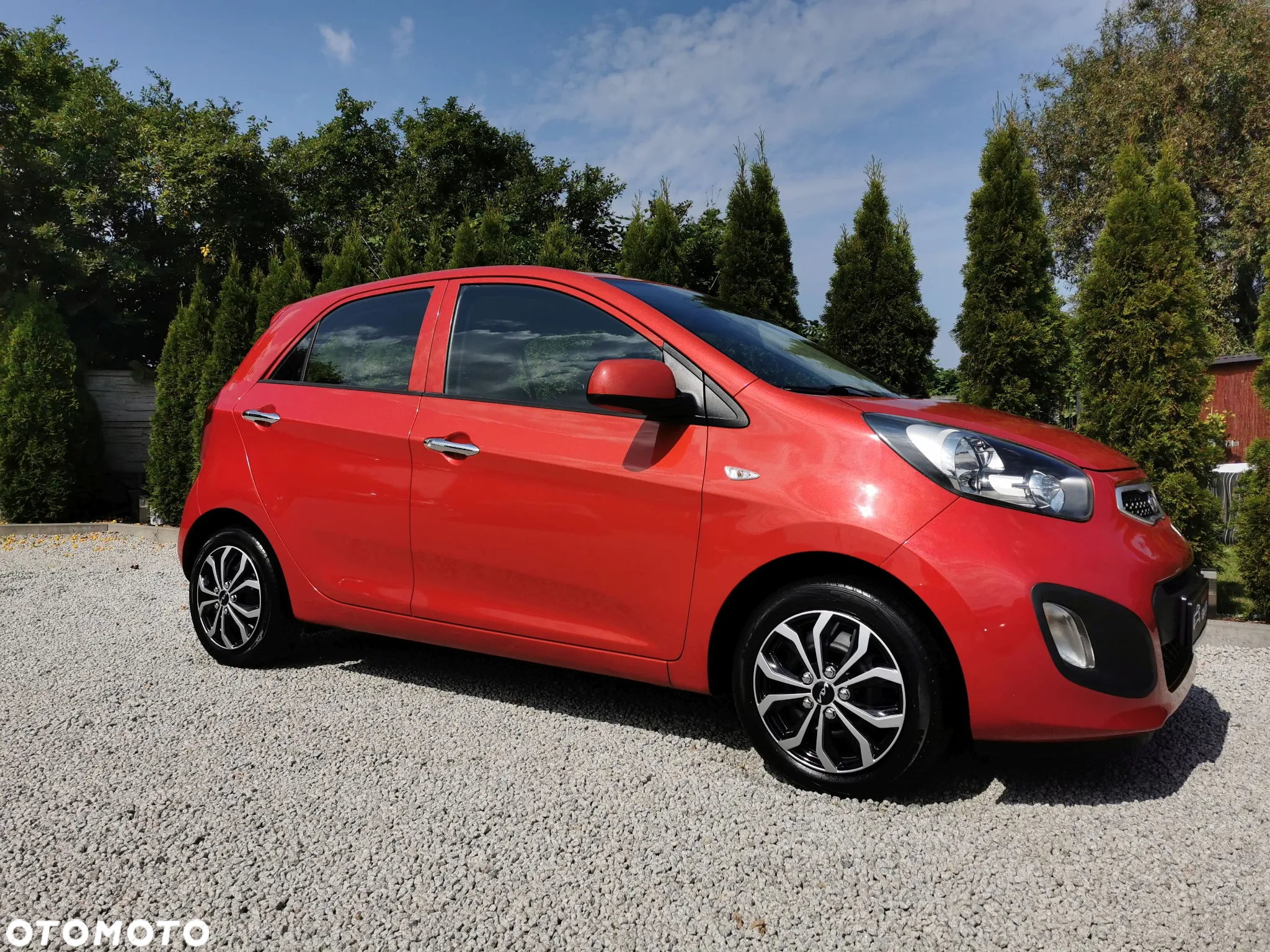 Kia Picanto 1.0 Dream Team Edition - 5