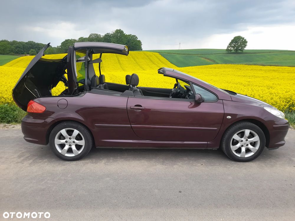 Peugeot 307 CC - 14