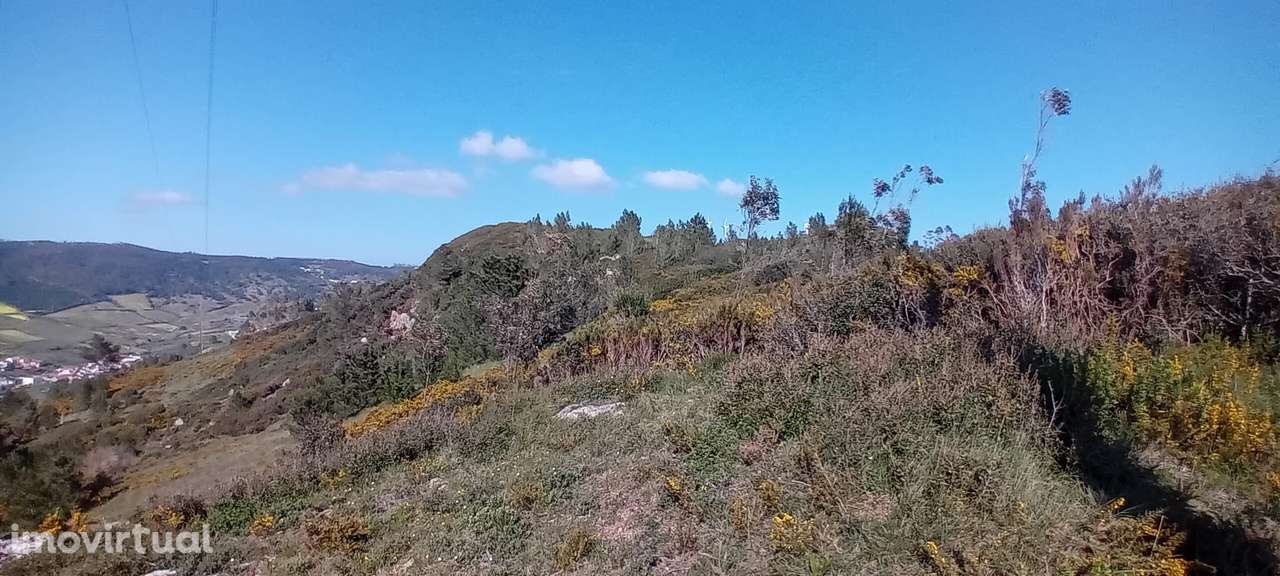 Terreno Rústico c/NASCENTE e eletricidade | 10 min Torres Vedras - Grande imagem: 4/16