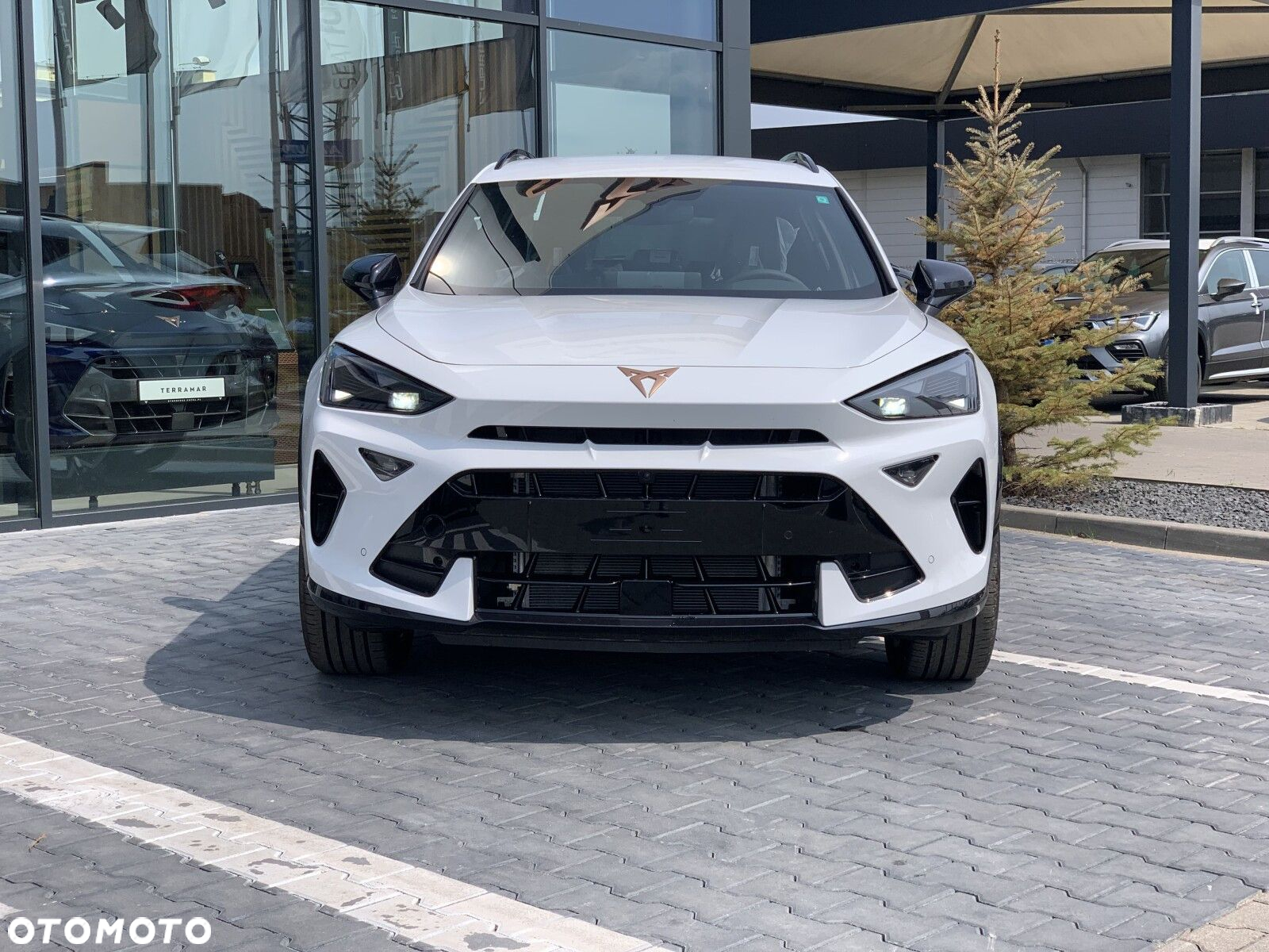 Cupra Formentor 1.5 TSI - 2