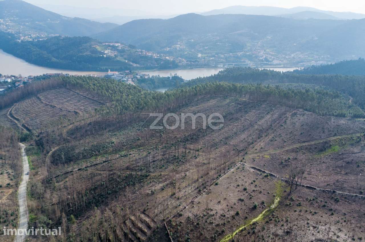 Terreno florestal urbanizável com 7.800 m2 - Rio Mau, Penafiel - Grande imagem: 2/9