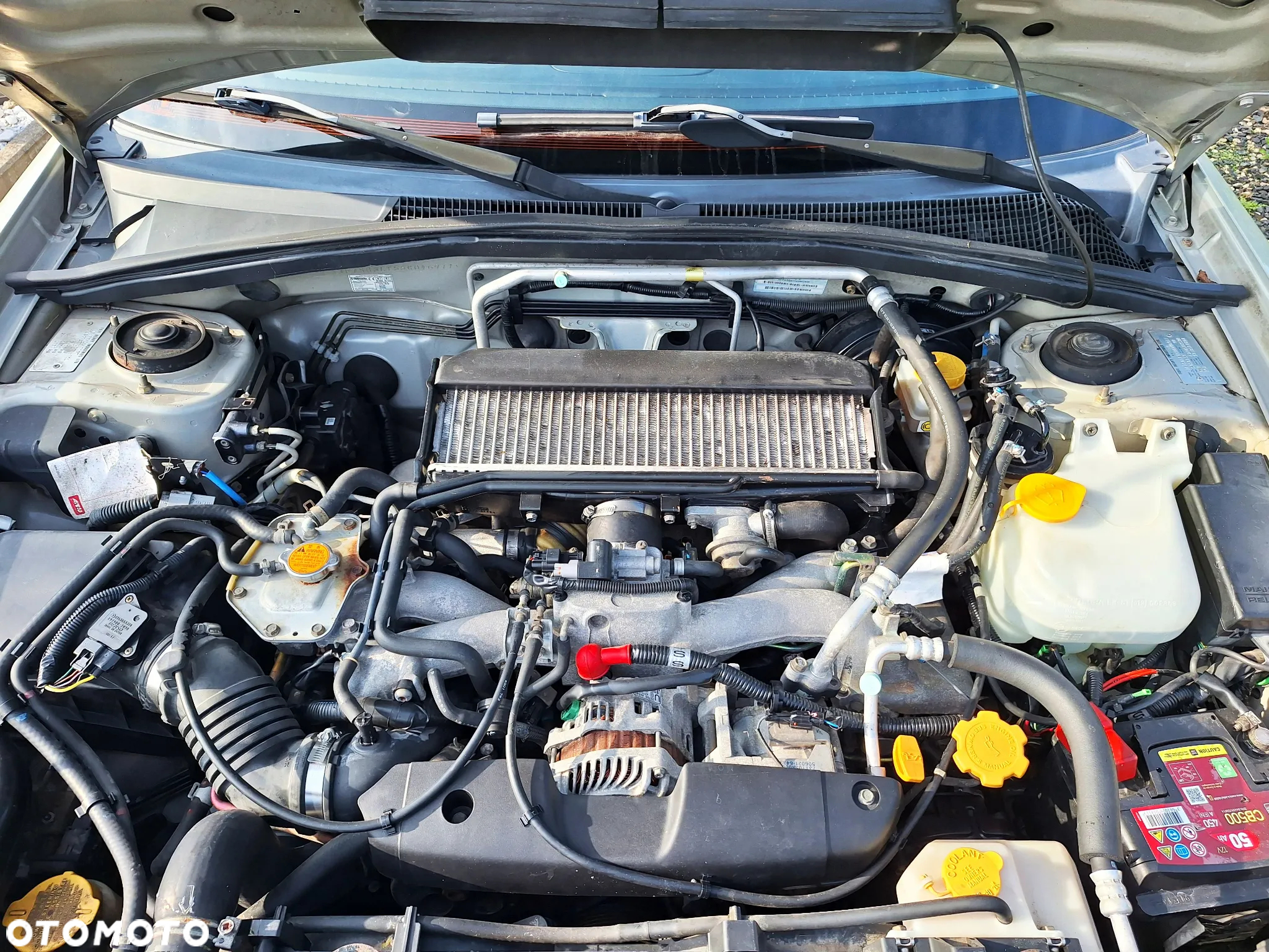 Subaru Forester - 8