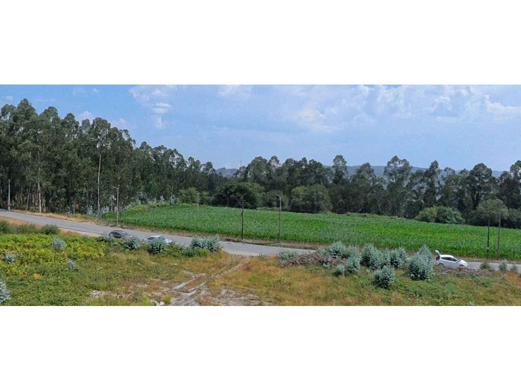 Terreno com 10 765m² à venda em Covelas, Trofa - Grande imagem: 2/4