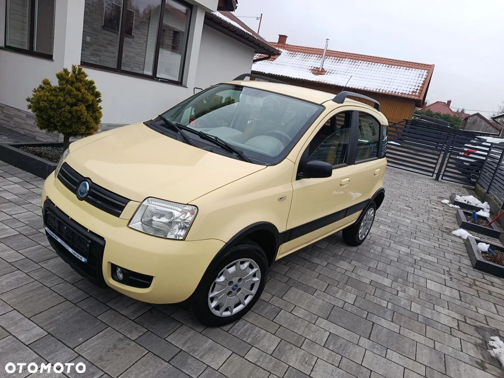 Fiat Panda 1.2 4x4 - 1