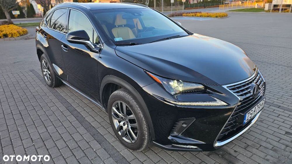 Lexus NX 300 Comfort AWD - 6