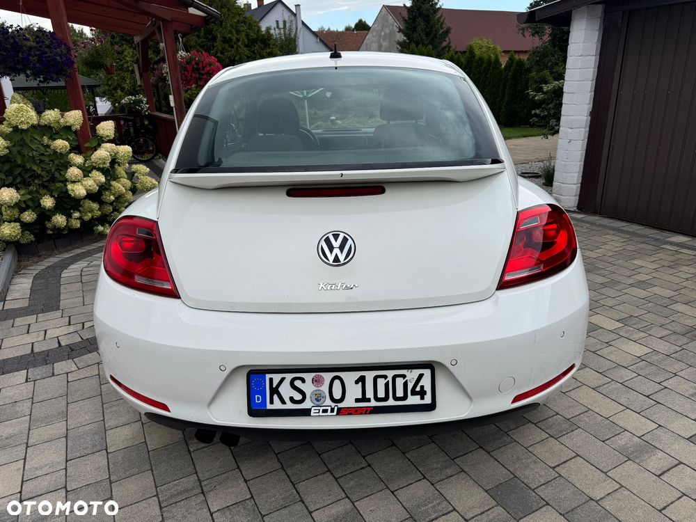 Volkswagen Beetle - 6