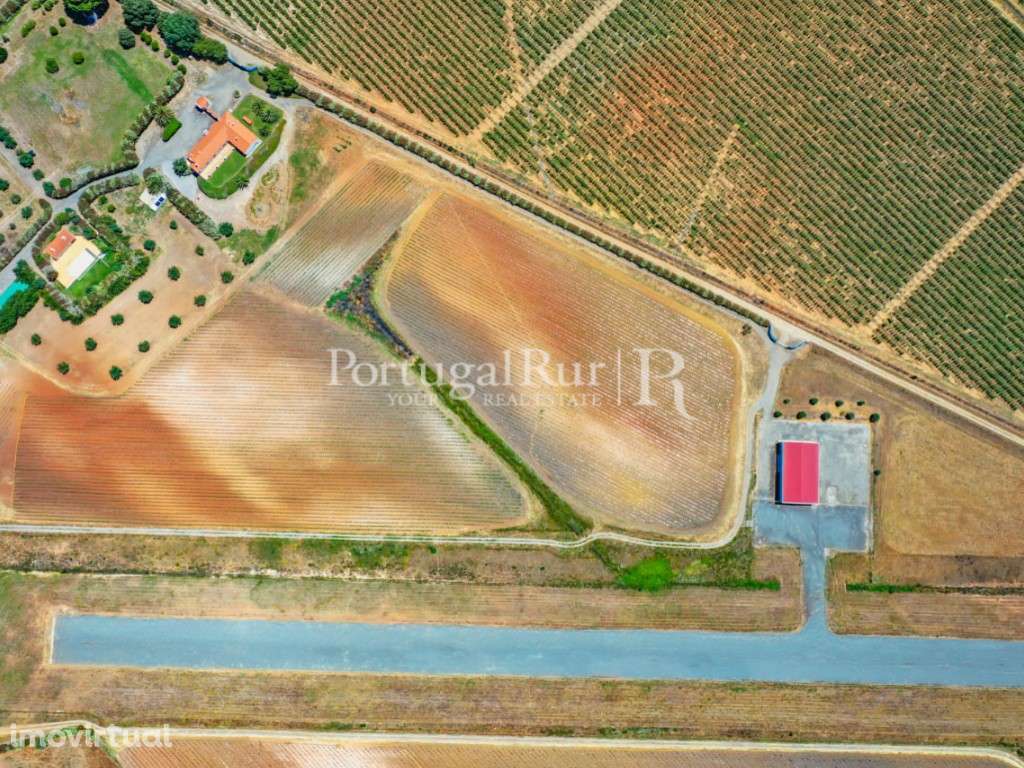 Herdade de 30ha com aeródromo certificado e excelente moradia - Grande imagem: 2/60