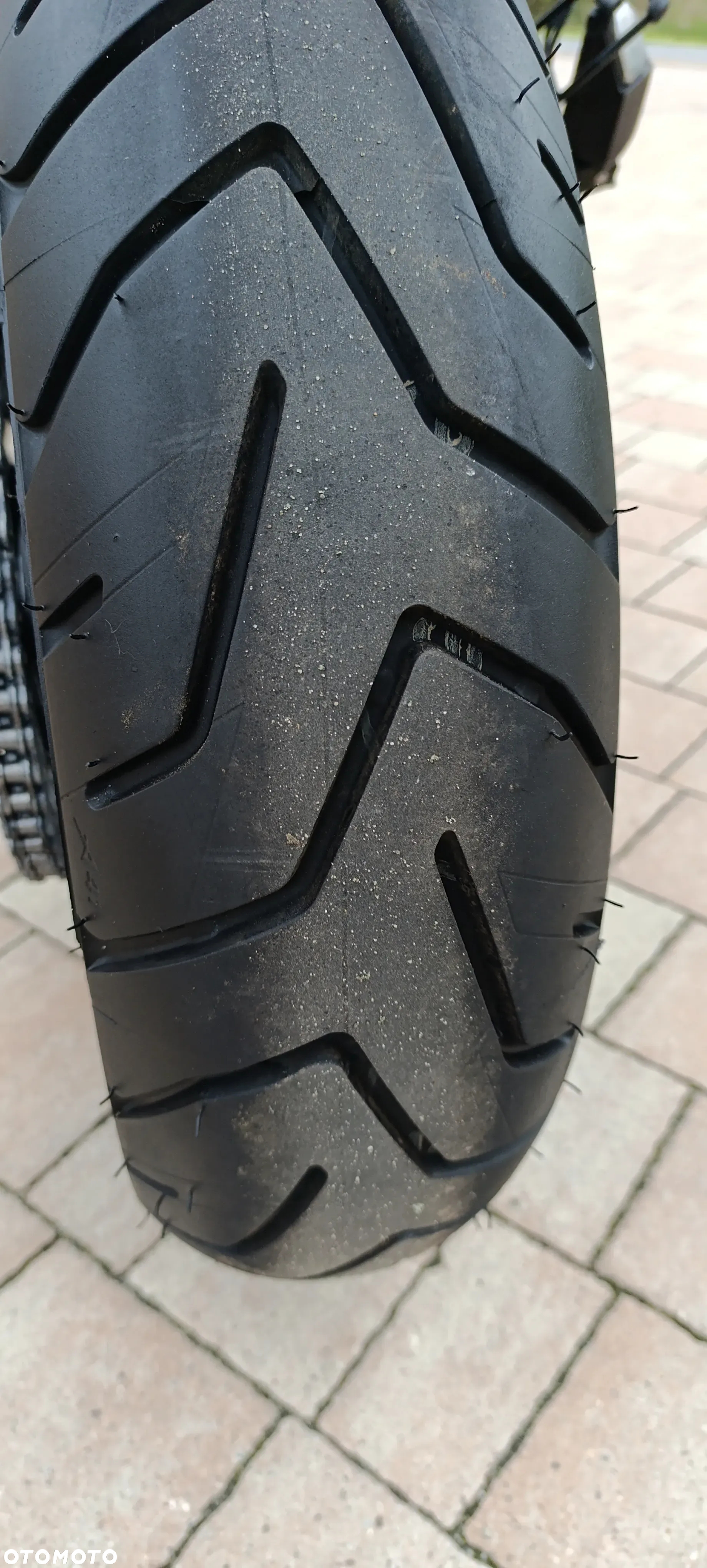 Triumph Tiger - 35