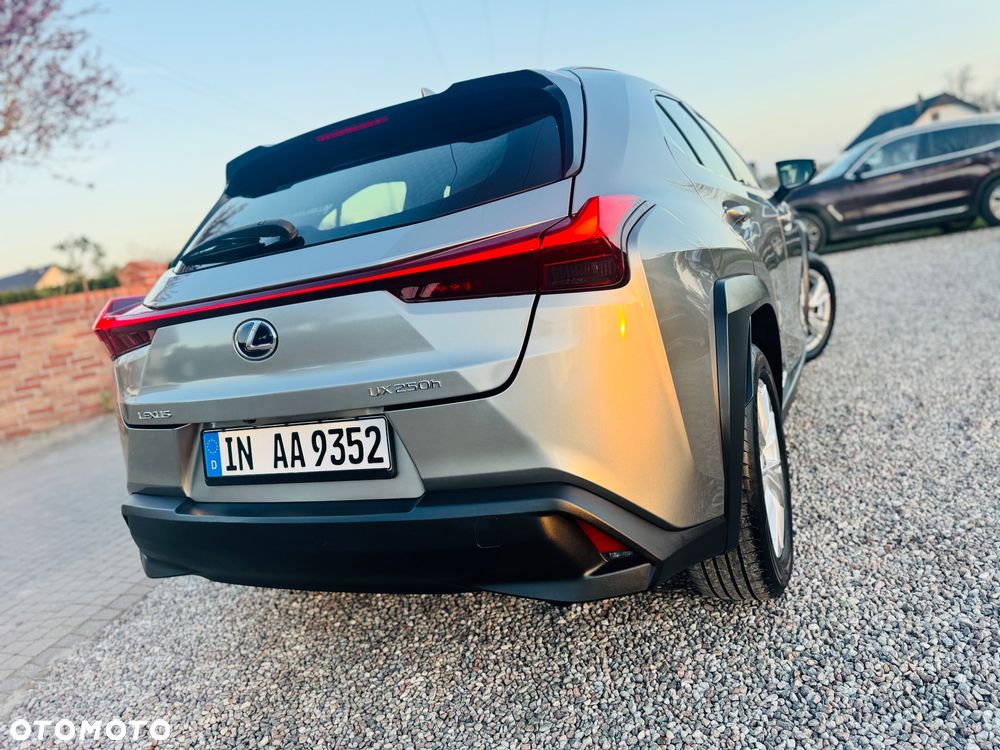Lexus UX 200 GPF Business 2WD - 41
