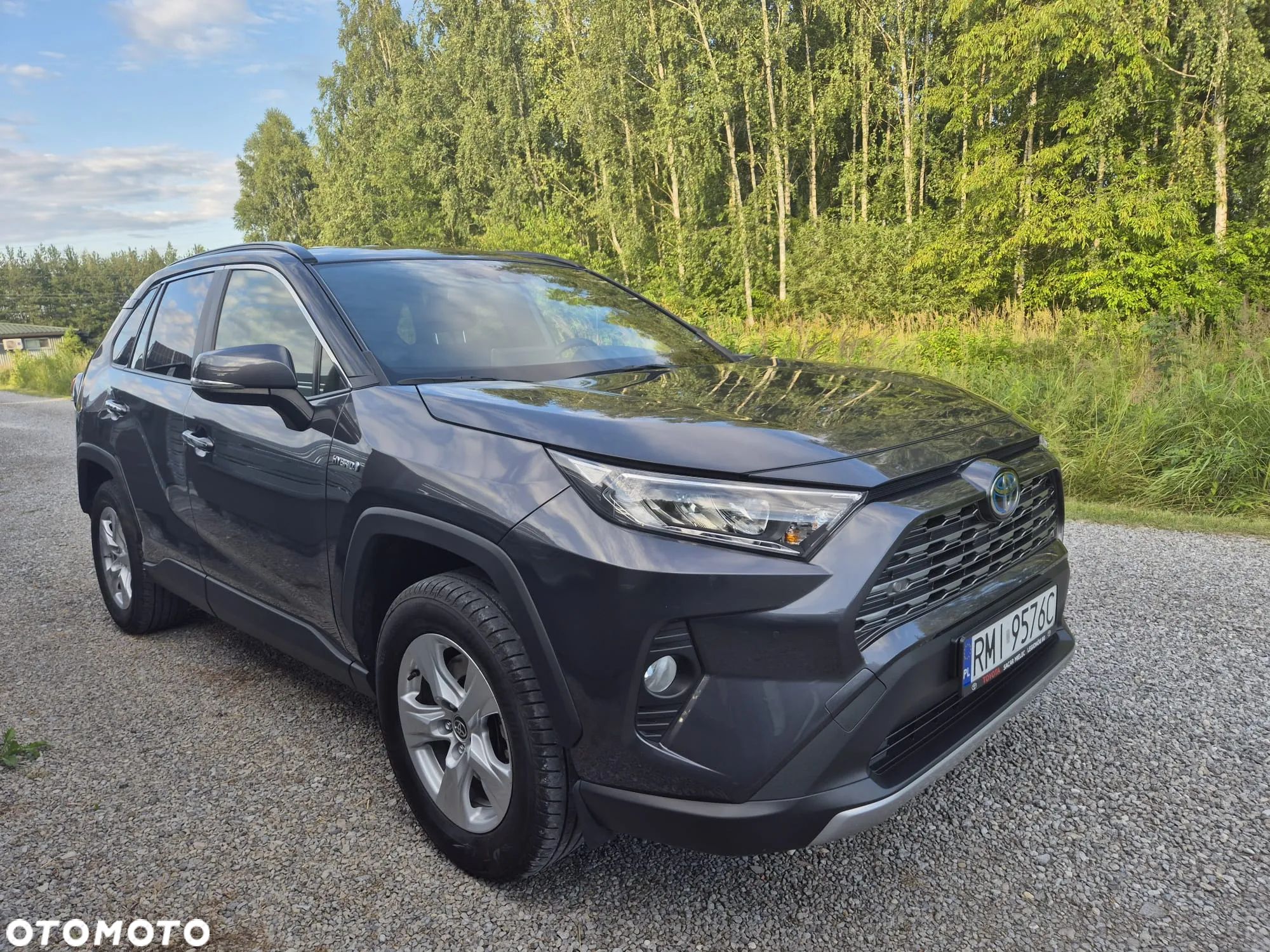 Toyota RAV4 2.5 Hybrid Comfort 4x2 - 1