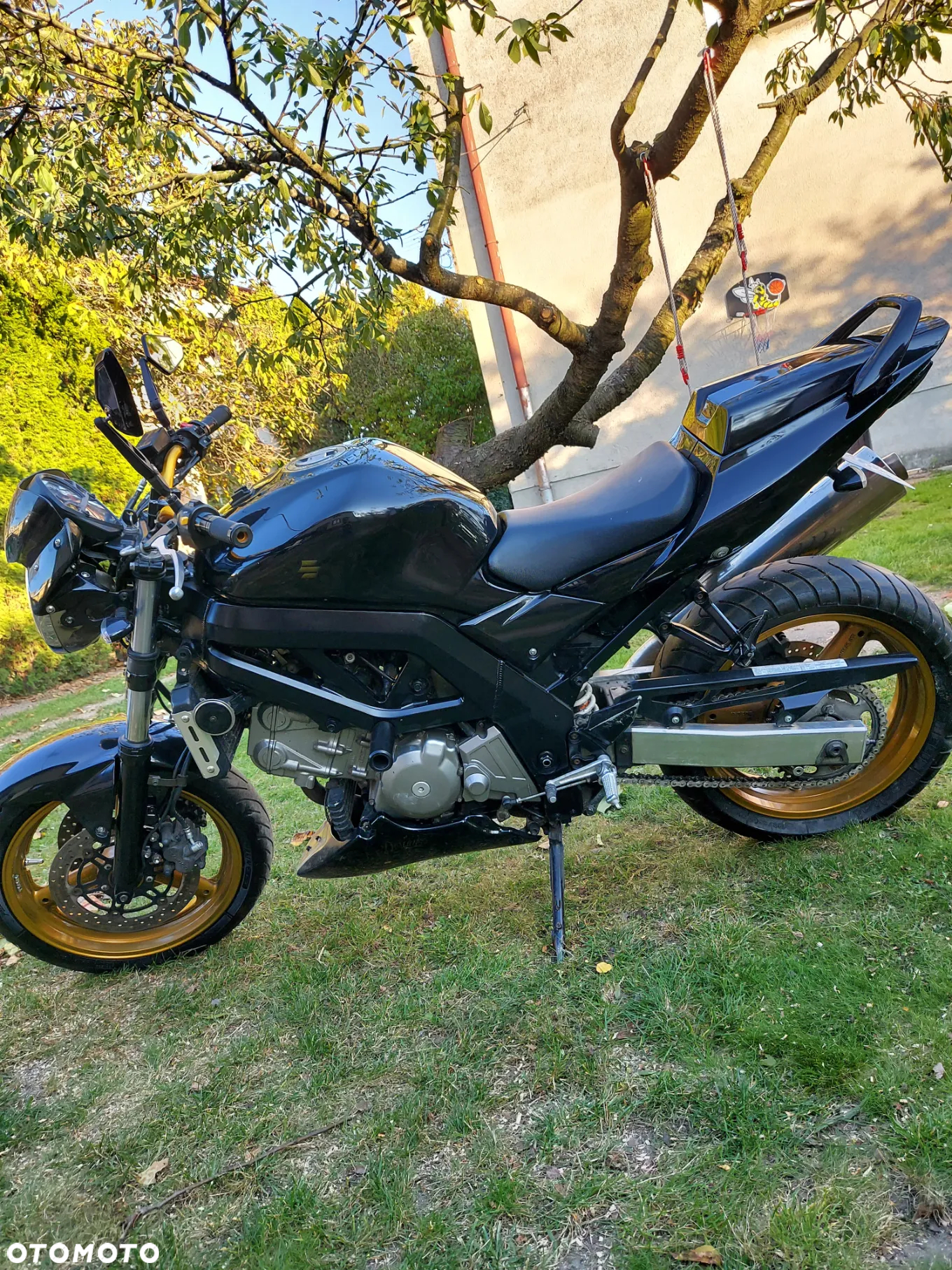 Suzuki SV - 6