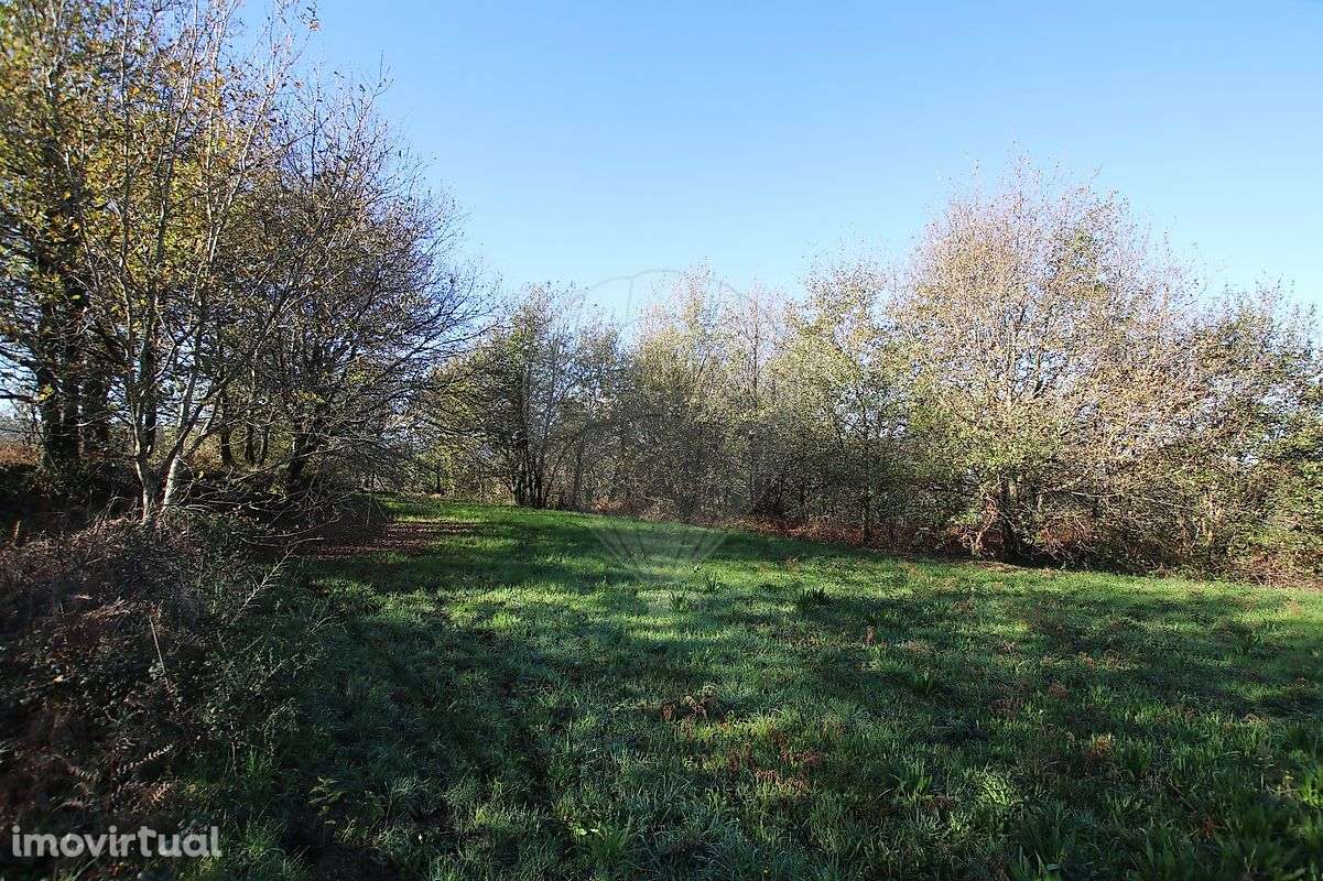 Terreno  para venda - Grande imagem: 2/15