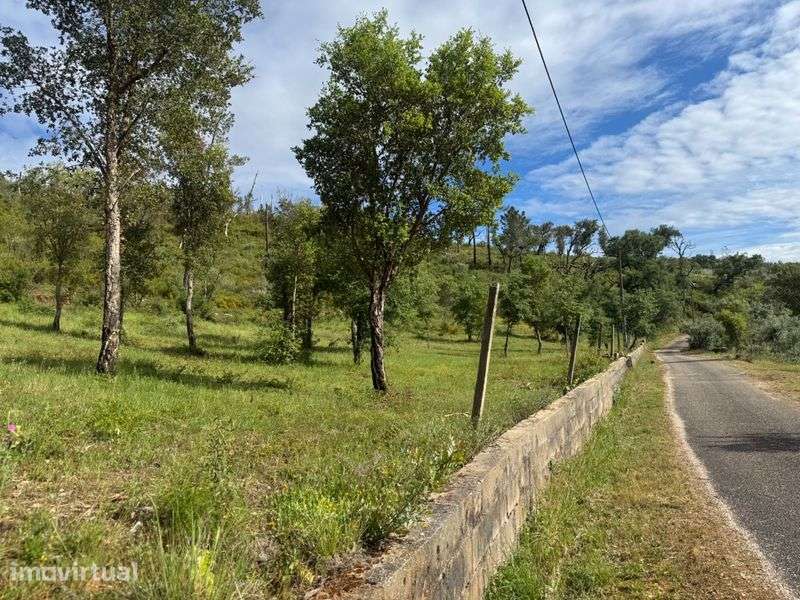Terreno 10 mil metros quadrados - Grande imagem: 2/8